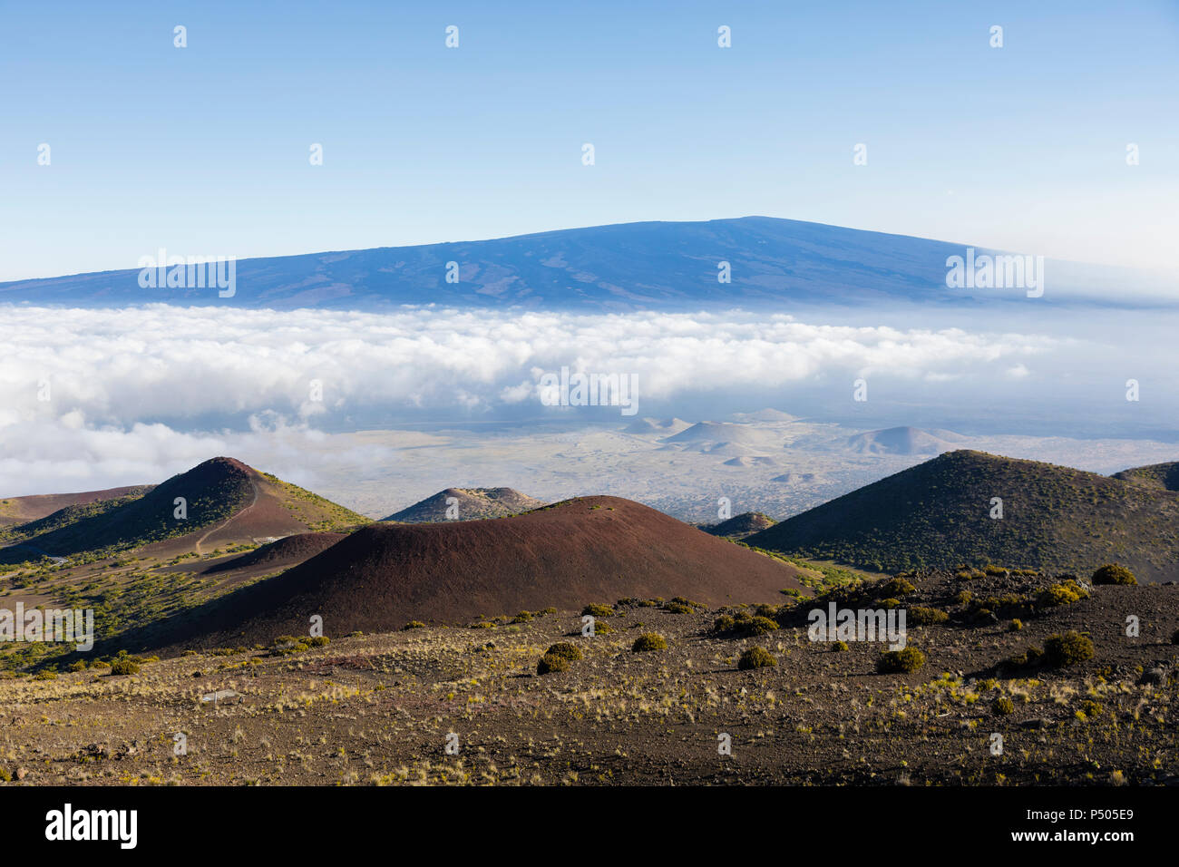 Vue à couper le souffle de Mauna Loa volcano sur la grande île d'Hawaï. Le plus grand volcan subaérienne tant dans la masse et volume, Mauna Loa a été envisager Banque D'Images