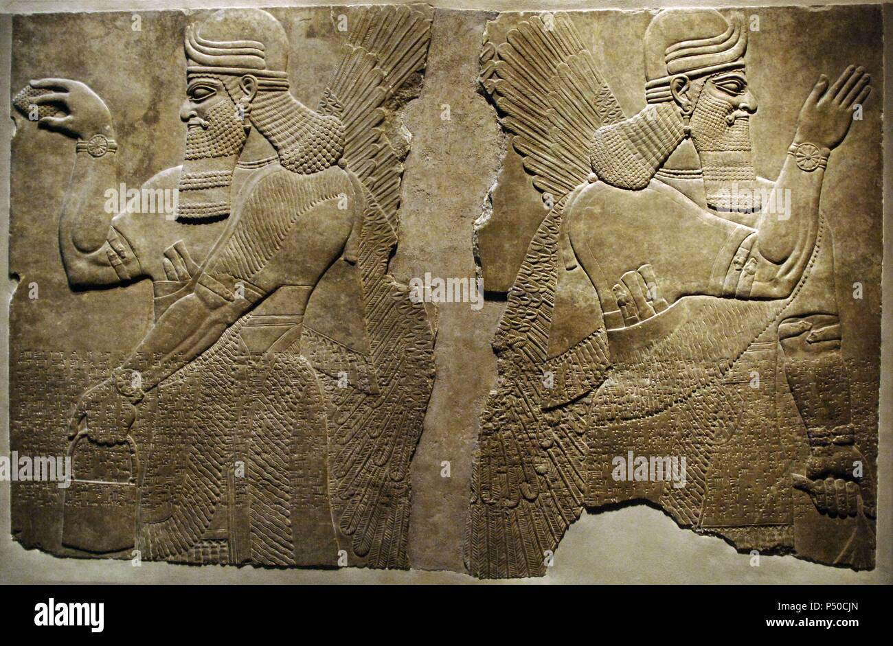L'art mésopotamien Neo-Assyrian. Panneaux en relief représentant deux ailes de protection génie. Daté entre 883-859 BC. Ils viennent de le palais d'Assurnazirpal II à Nimrud. Metropolitan Museum of Art de New York. United States. Banque D'Images