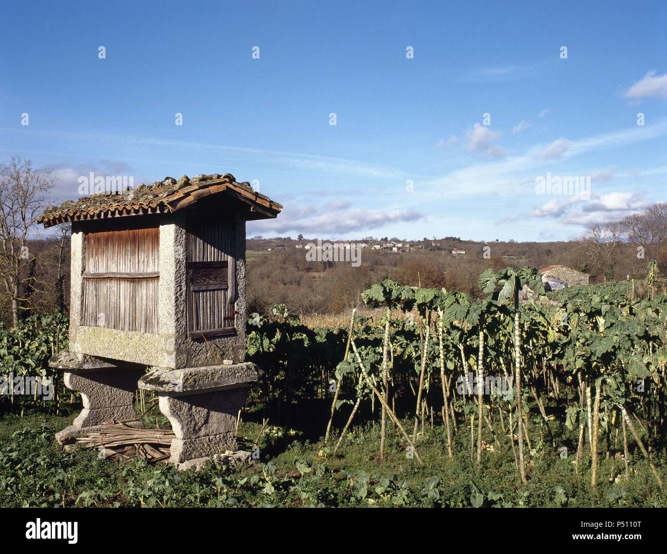 L'Espagne. La Galice. Santa Eufemia. Horreo galicien dans un verger. Banque D'Images