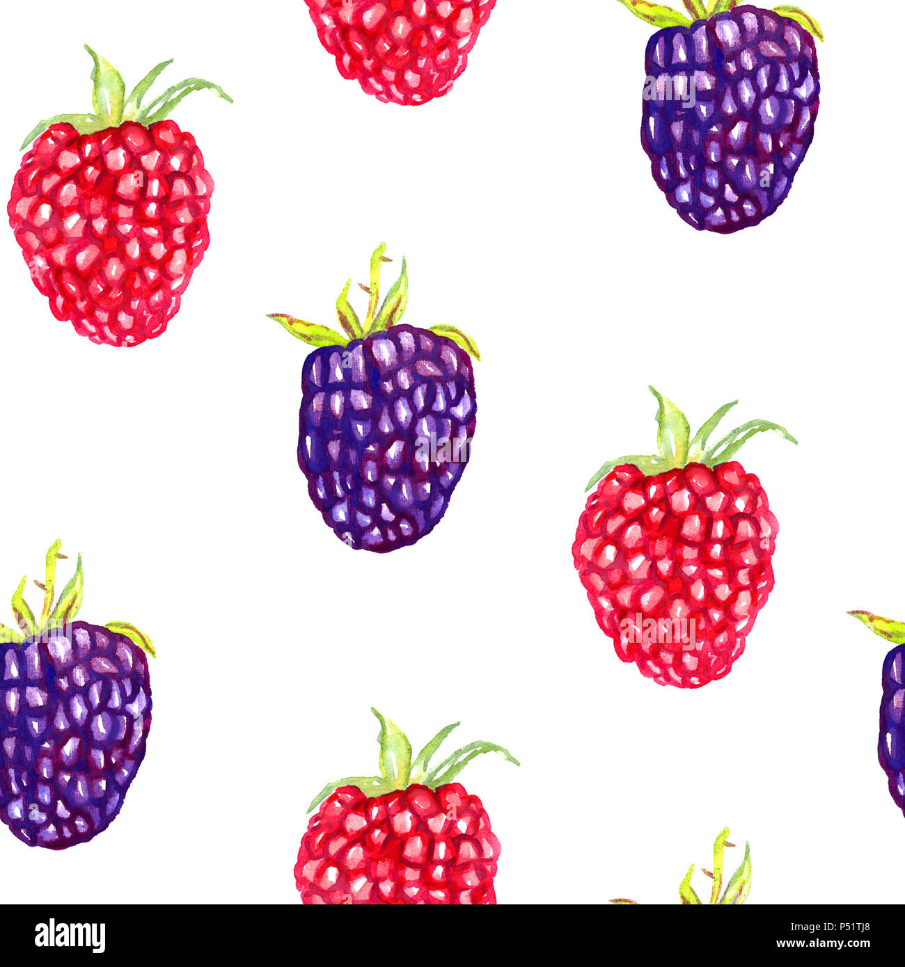 Mûres et framboises mûres, direct pattern design illustration aquarelle peinte à la main Banque D'Images