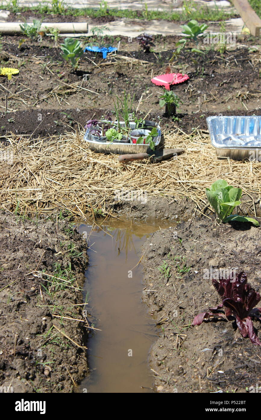 Jardin communautaire plein d'opportunités de jardinage et de plantes cultivées à la maison. Banque D'Images