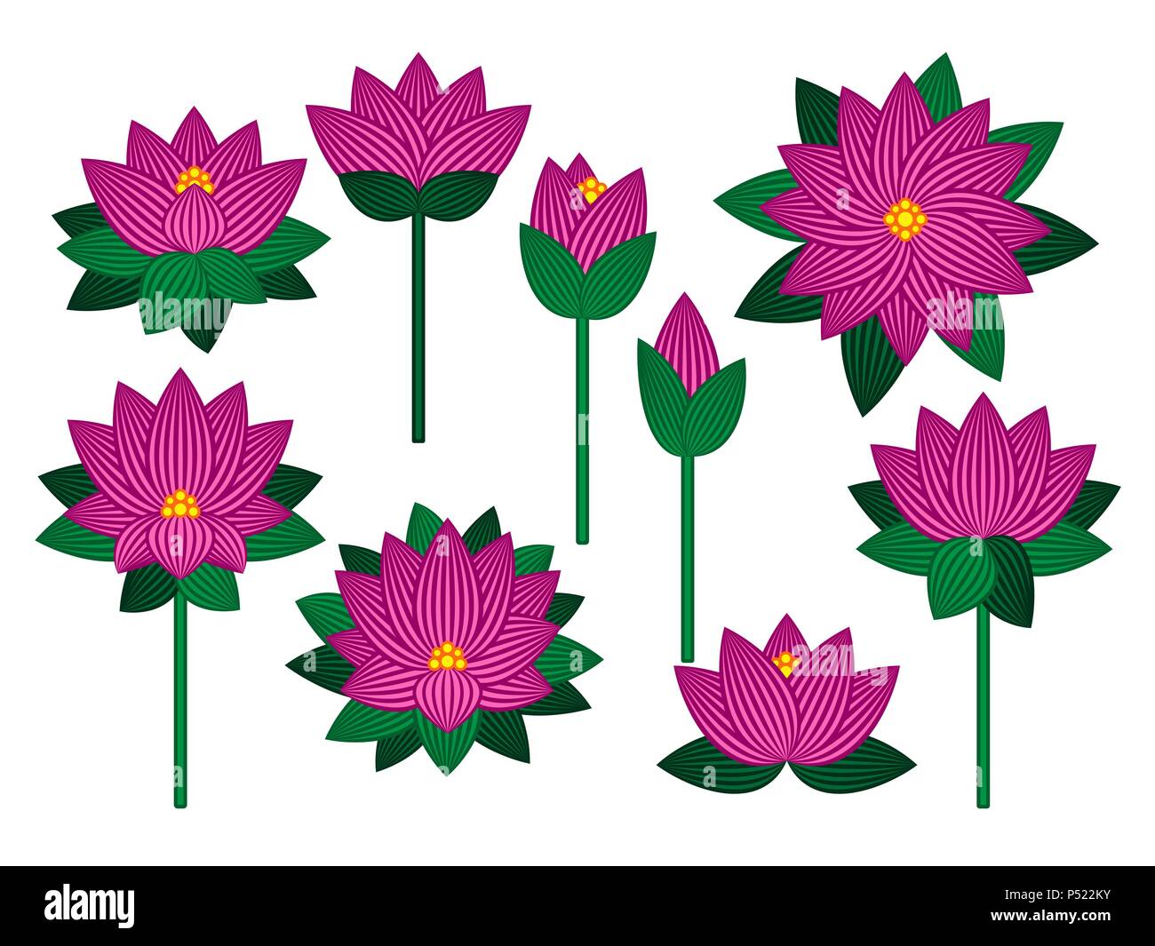 Lotus marais Banque d'images vectorielles - Alamy