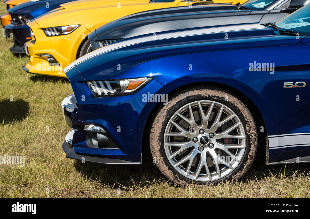 Une Ford Mustang muscle car. Banque D'Images