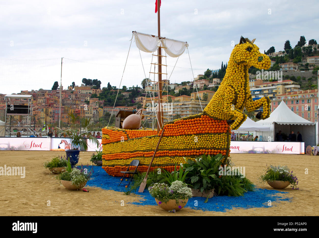 Menton, France. 24 Juin, 2018. Menton, France - 24 juin 2018 : pays méditerranéens et arabes Arabian Horse Championship. Championnat de pur sang arabe de la Méditerranée et des pays arabes. Les chevaux, Cheval, PFERD, Pferde, Zucht, de l'APCA, ECAHO, ACA, l'utilisation de crédit dans le monde entier | : dpa/Alamy Live News Banque D'Images