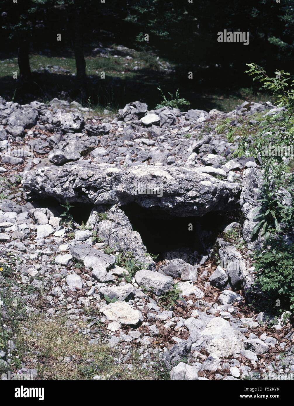 ARTE PREHISTORICO. ARQUITECTURA FUNERARIA. Y TUMULO DOLMEN DEL NEOLITICO. Edad del bronce. El sector de Aralar es una zona con más de 250 dolménica detectados dólmenes. La sierra de Aralar. NAVARRA. España. Banque D'Images