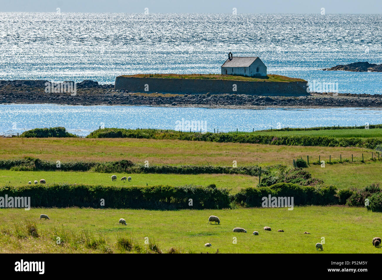 Le Nord du Pays de Galles. Cwyfan église sur son île à marée de Cribinau Anglesey. Banque D'Images