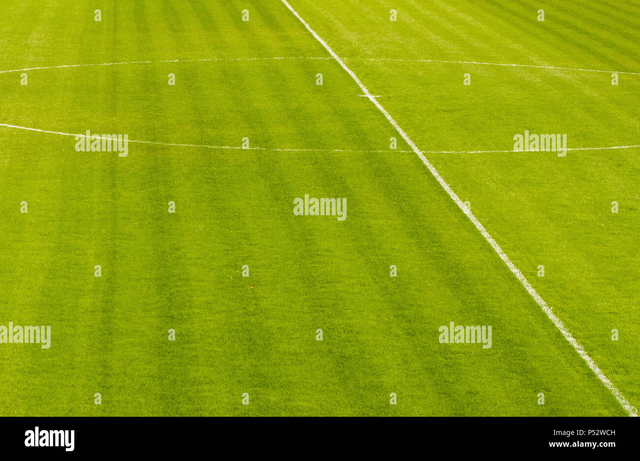 Image en gros plan d'un terrain de soccer de l'herbe verte naturelle Banque D'Images