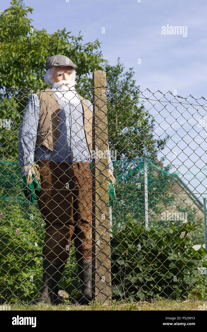 Jardinier dans un allotissement scarecrow Banque D'Images