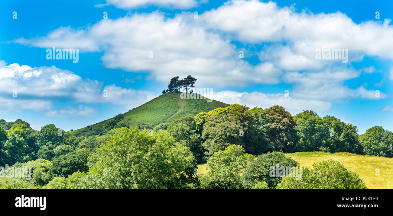 Colmers Hill près de Symondsbury, Dorset, UK Banque D'Images