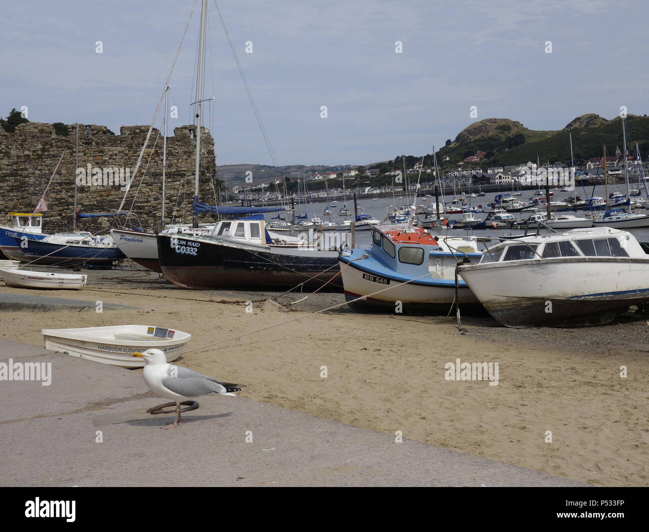 Bateaux recelait de Conwy de Barmouth et dans le Nord du Pays de Galles, certains se sont échouées Banque D'Images