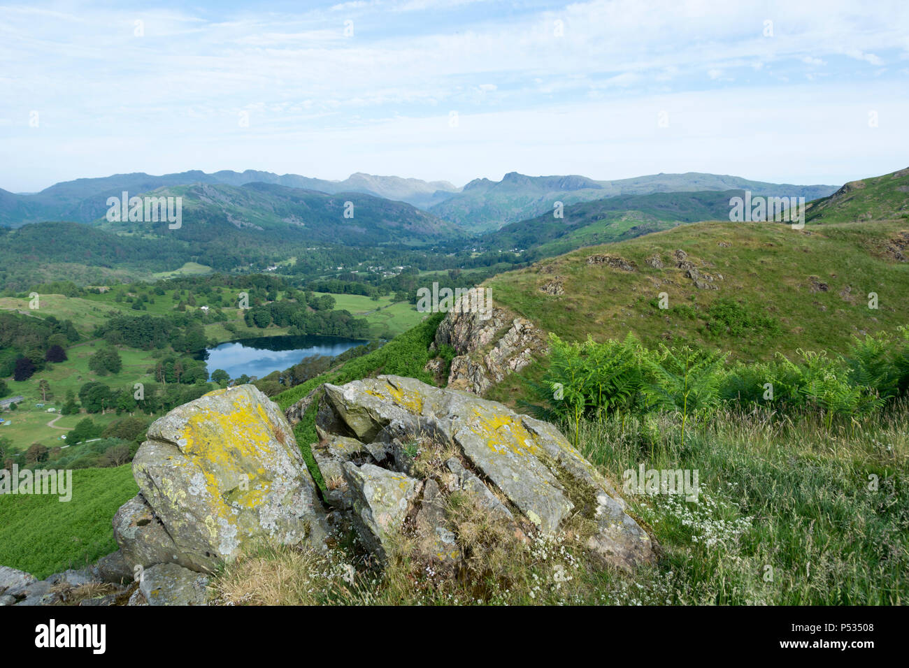 Vue depuis la puce Crag, Loughrigg sur Loughrigg tarn vers Langdale Pikes, Loughrigg Fell, Ambleside, Lake District, Cumbria, Angleterre Banque D'Images