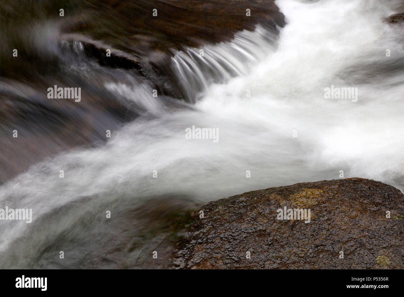L'eau qui coule sur les rochers en stream Banque D'Images