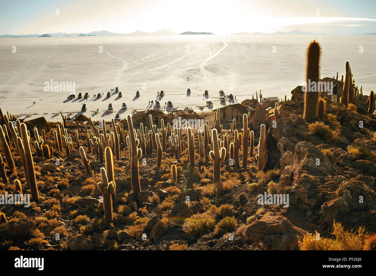 Cactus island Sunset allumé - aka l'île du poisson (Isla del Pescado) dans la région de Salar de Uyuni, Bolivie. Banque D'Images
