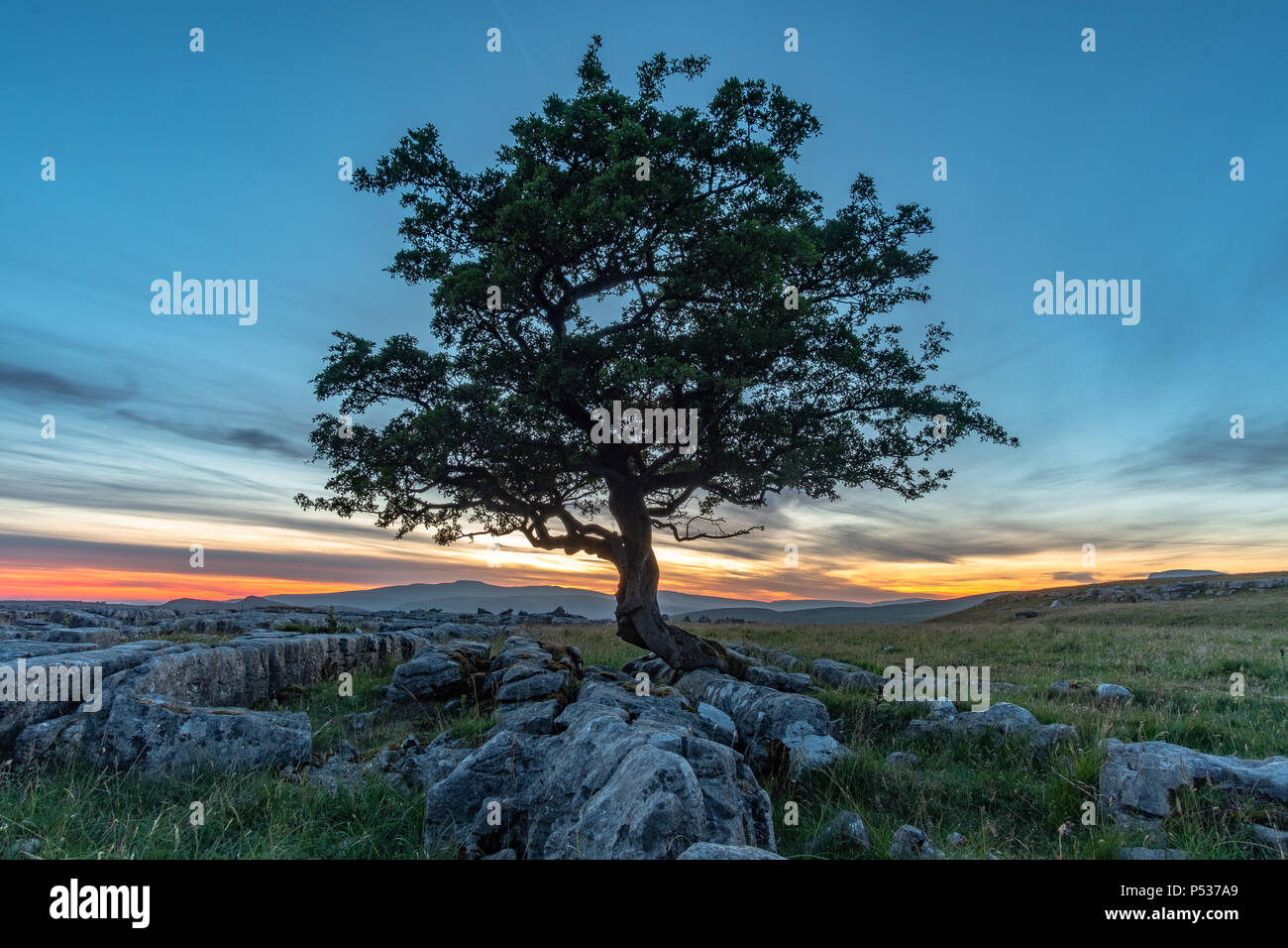 Post-incroyable coucher du soleil la lumière à l'étonnante Winskill pierres dans le Yorkshire Dales National Park Banque D'Images