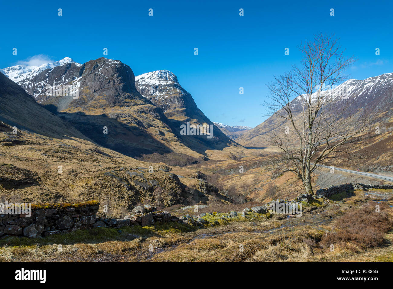 Geàrr Aonach et Aonach Dubhe, Bidean nam Bian, gamme de l'ancienne route militaire, Glencoe, région des Highlands, Ecosse, Royaume-Uni Banque D'Images