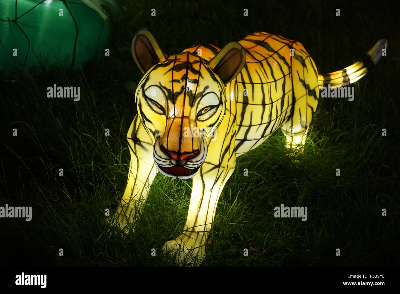 Tigre Chinese Lantern Festival Banque D'Images