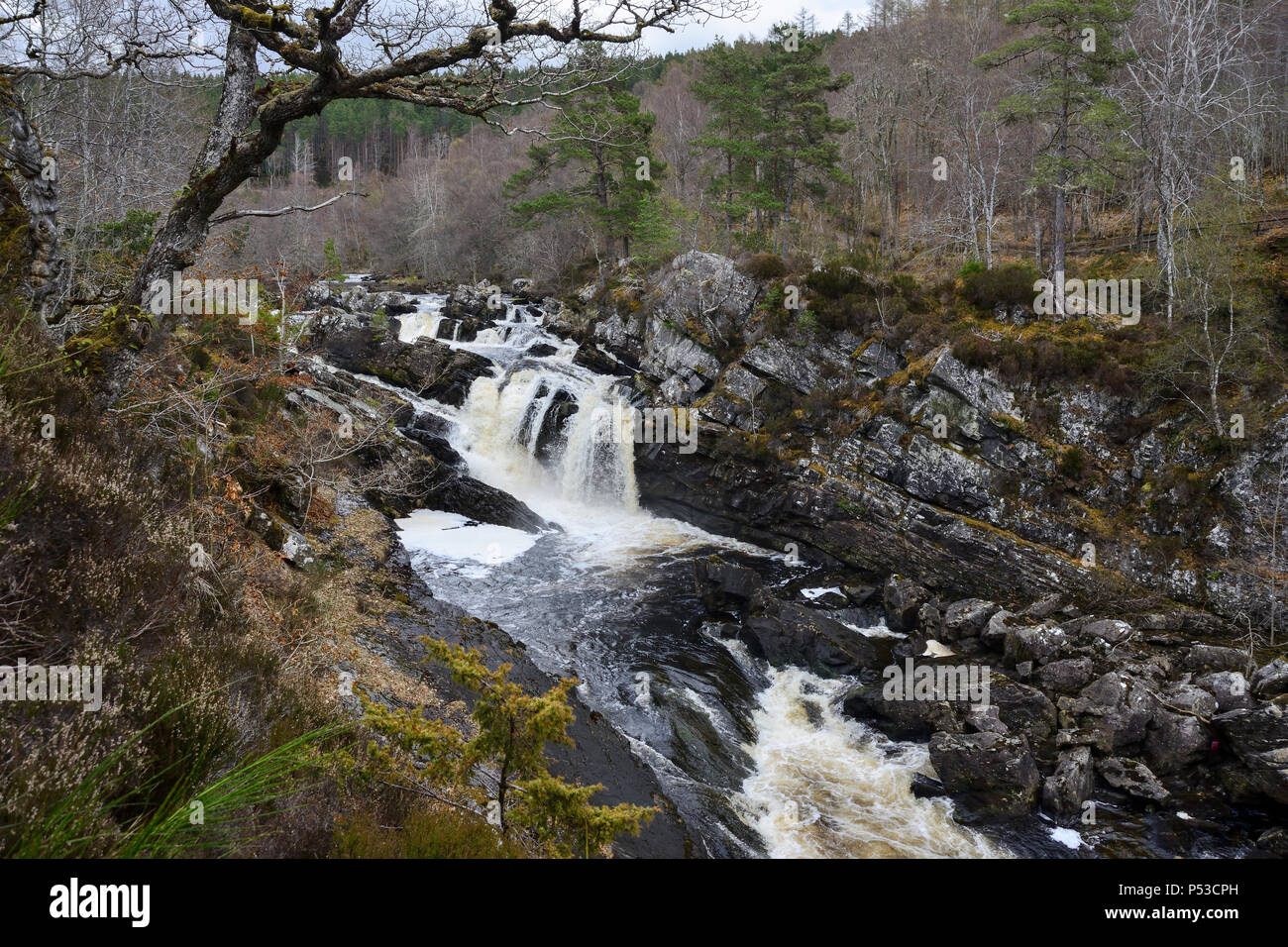 Rogie tombe une série de cascades de la rivière d'eau noire à Ross-shire dans les Highlands d'Ecosse Banque D'Images