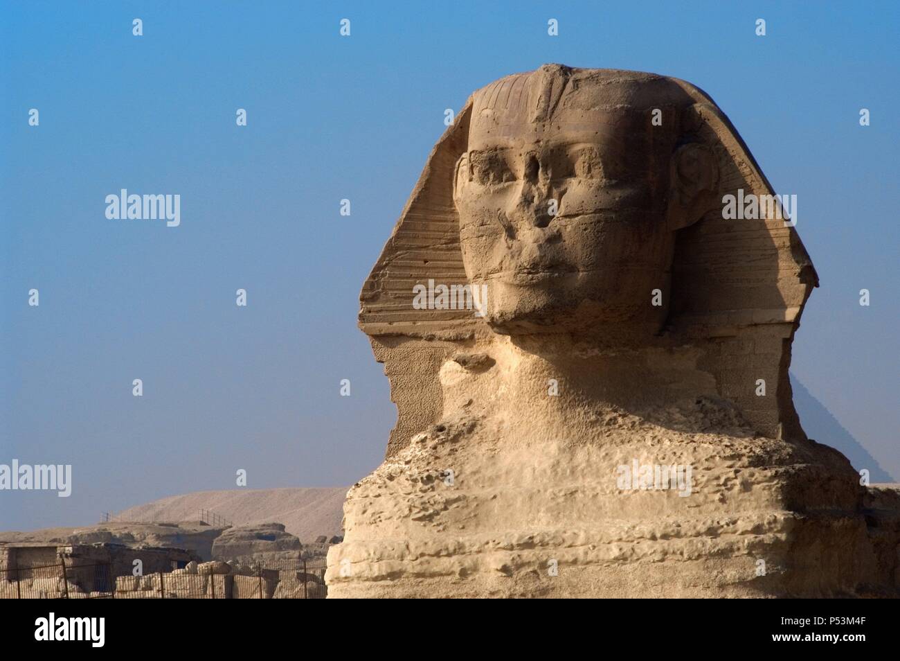 L'Égypte. Grand Sphinx de Gizeh. Statue en pierre calcaire avec corps de lion et tête humaine. Est d'avis que représente le pharaon Khafra. Construit comme une garde de protection sur les berges du Nil. Vieux Royaume. 2500 av. J.-C. environ. 4ème dynastie. Banque D'Images