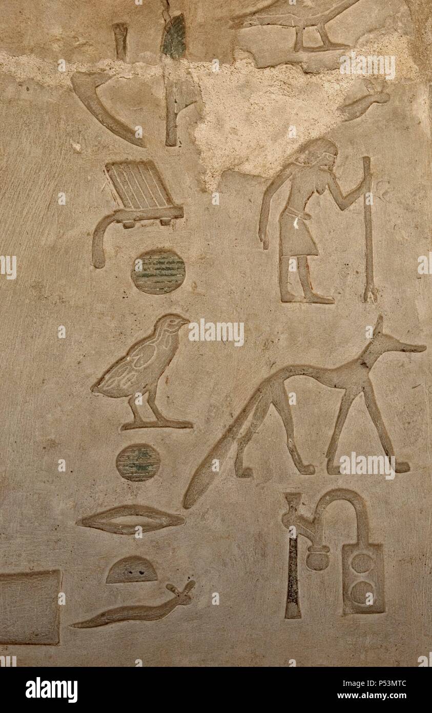 Mastaba de Nefer et Kahay. L'écriture hiéroglyphique. 5ème dynastie. Vieux Royaume. Saqqara. L'Égypte. Banque D'Images