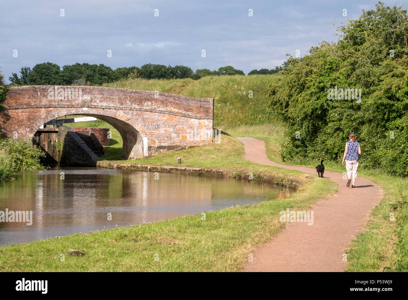 Une femme promener son chien sur le canal de Worcester et Birmingham près de Tardebigge, Worcestershire, Angleterre, RU Banque D'Images