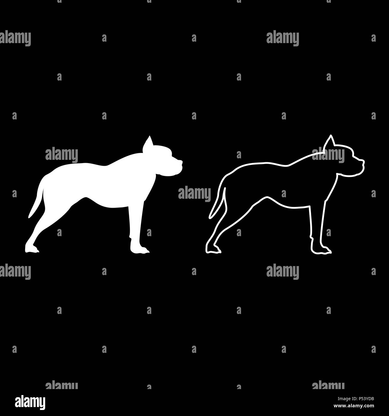 Pit-bull terrier icon set vecteur de couleur blanc je télévision image simple style Illustration de Vecteur