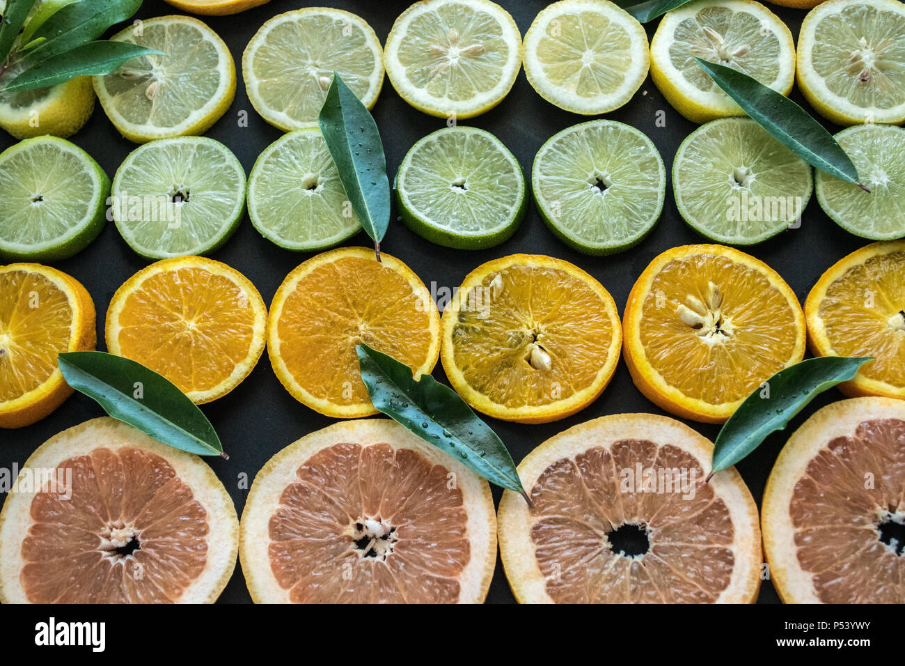 Fabricants de cycles de divers agrumes présentées sous forme d'un schéma. Libre shote d'orange, citron vert, citron, pamplemousse et rouge. En bonne santé et plein de la nutrition Banque D'Images