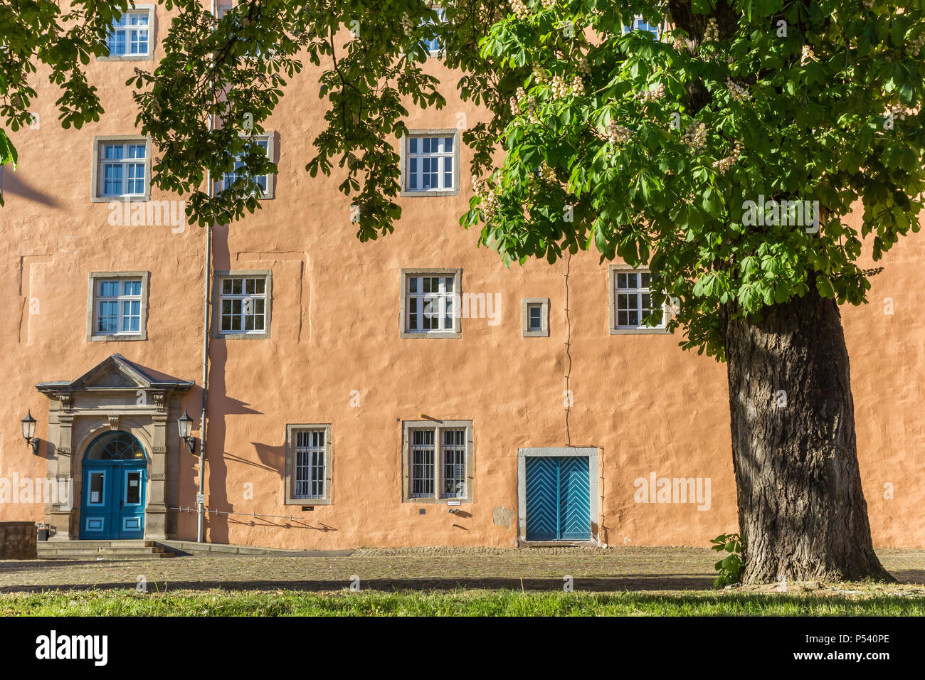 Arbre à la place du château de Hann. Munden, Allemagne Banque D'Images