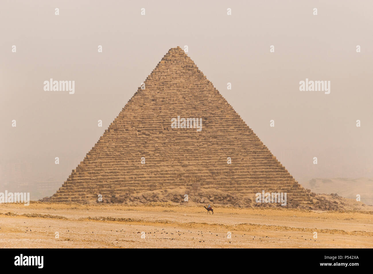 Un égyptien monte un chameau dans le désert au-delà de la pyramide de Gizeh Menkaourê, Égypte. Banque D'Images