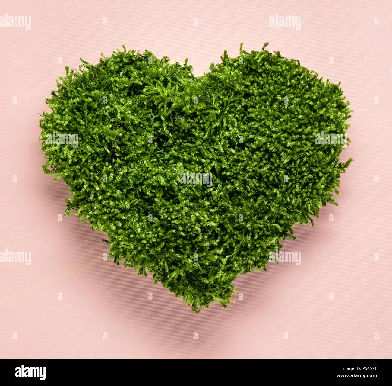 Mousse verte forme de coeur sur fond rose Banque D'Images