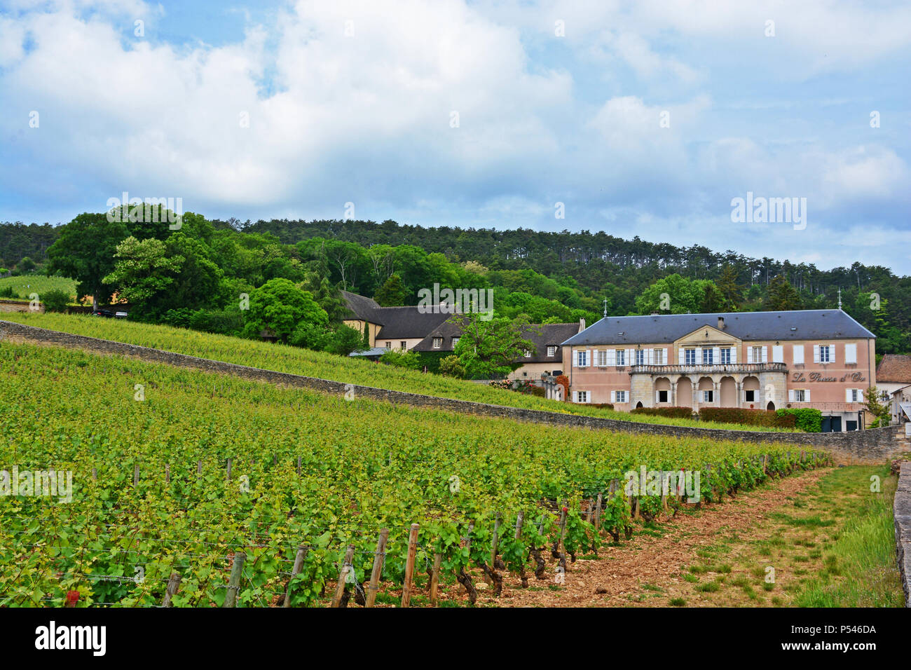 Village de vignerons de Bourgogne, Volnay, Cote d Or, Bougogne-Franche-Comté Banque D'Images