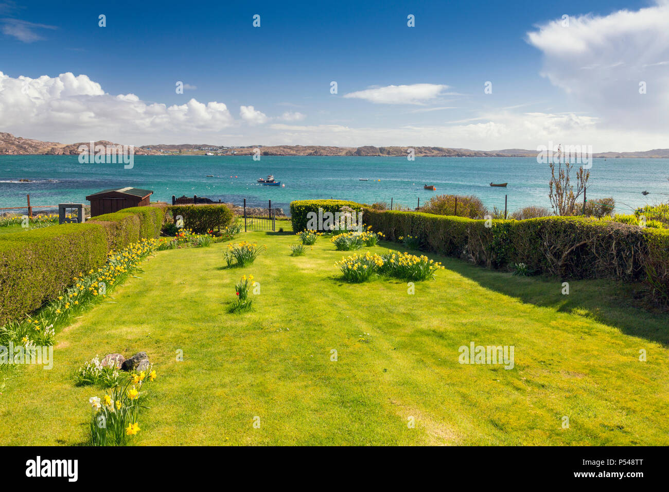 Un jardin plein de fleurs du printemps jusqu'à la Son d'Iona sur l'Hebridean island d'Iona, Argyll and Bute, Ecosse, Royaume-Uni Banque D'Images