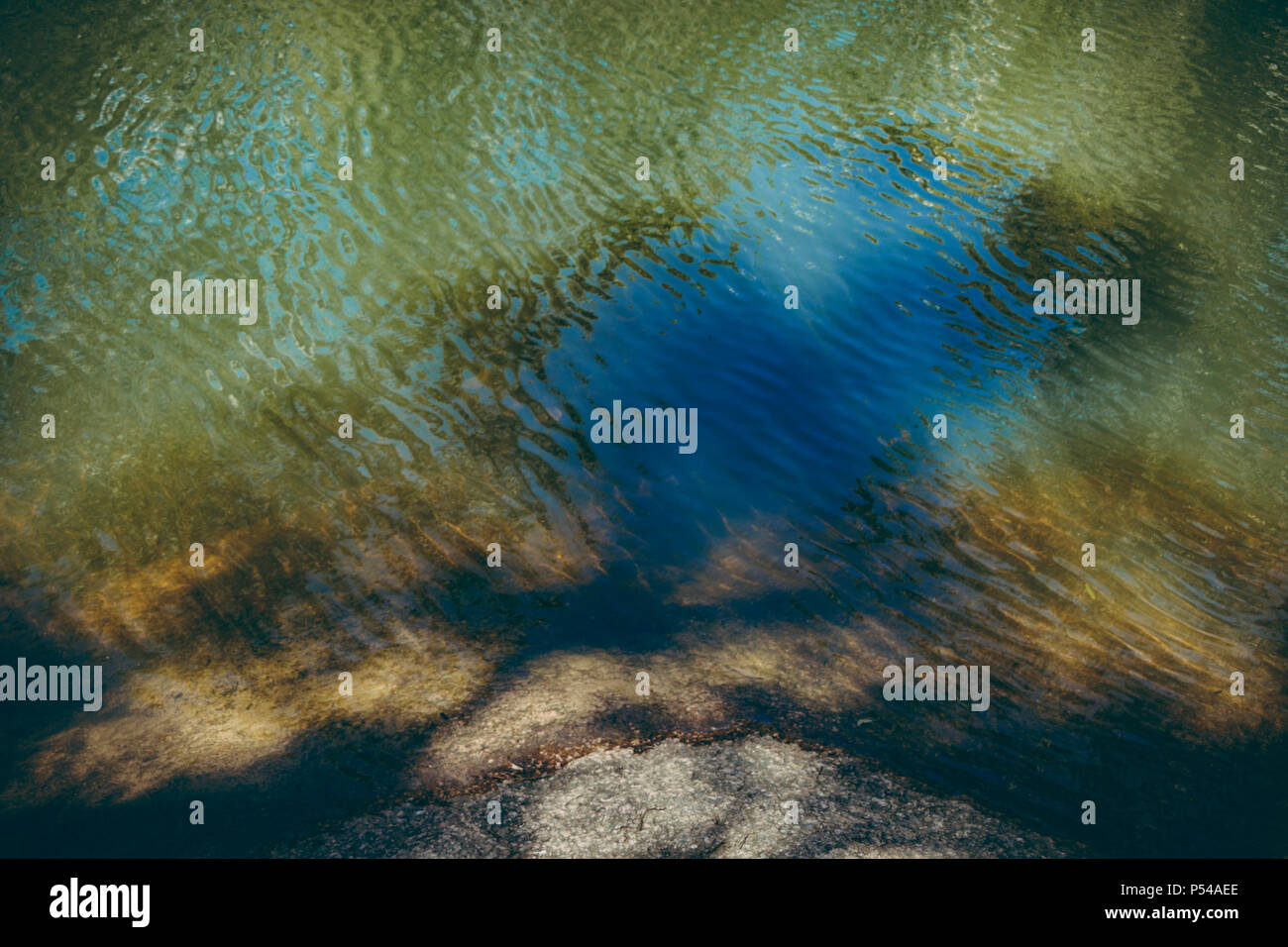 Toujours dans l'eau profonde le lit du ruisseau de Megalong Valley, Blue Mountains, NSW, Australie. Banque D'Images