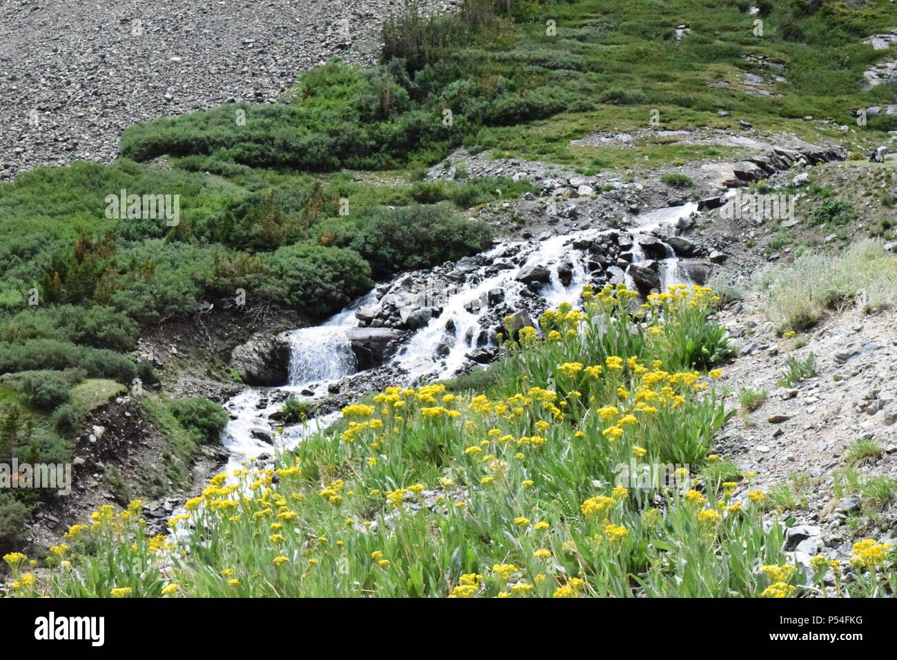 Beau cours d'eau d'une montagne à l'extérieur de Breckenridge au Colorado Banque D'Images