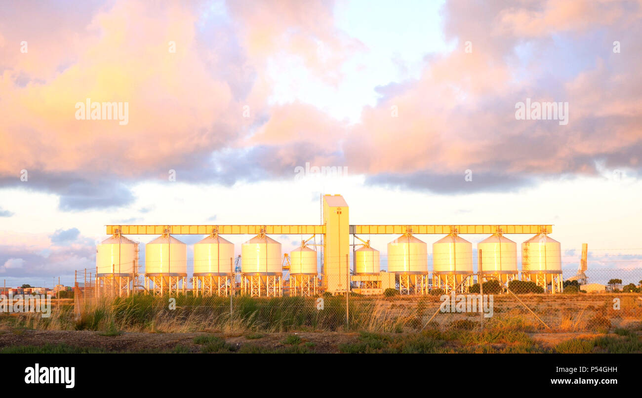 Les silos à grains dans l'arrière-port, l'Australie du Sud où l'exportation de grains tels que blé est conveyored vers les quais d'expédition à l'exportation, à l'aube. Banque D'Images