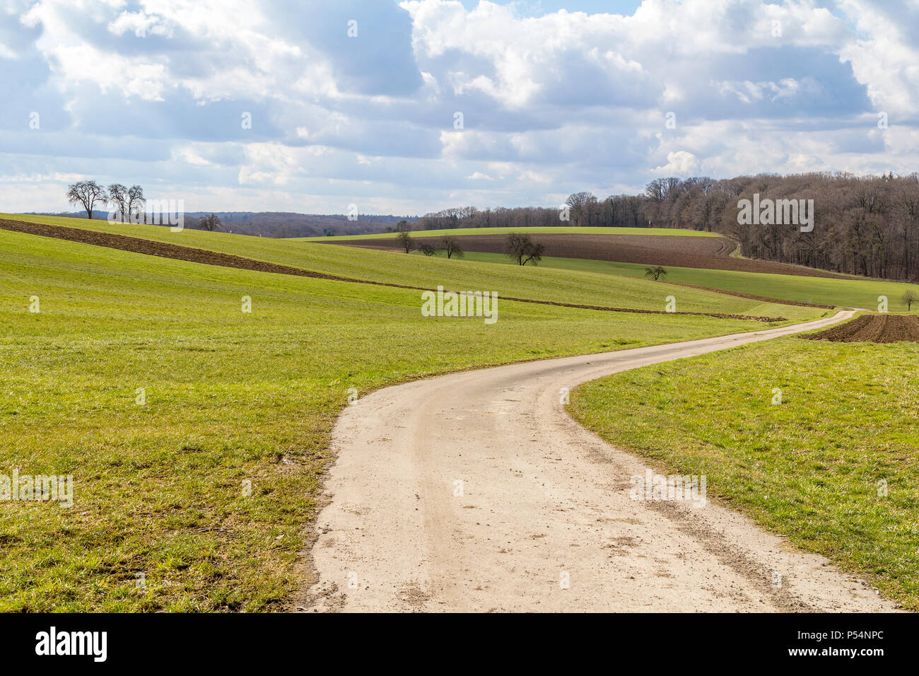 Paysage rural et idyllique avec vue panoramique sur les champs et prairies y compris un chemin de champ dans Hohenlohe, un salon dans le sud de l'Allemagne au début du printemps temps temps Banque D'Images