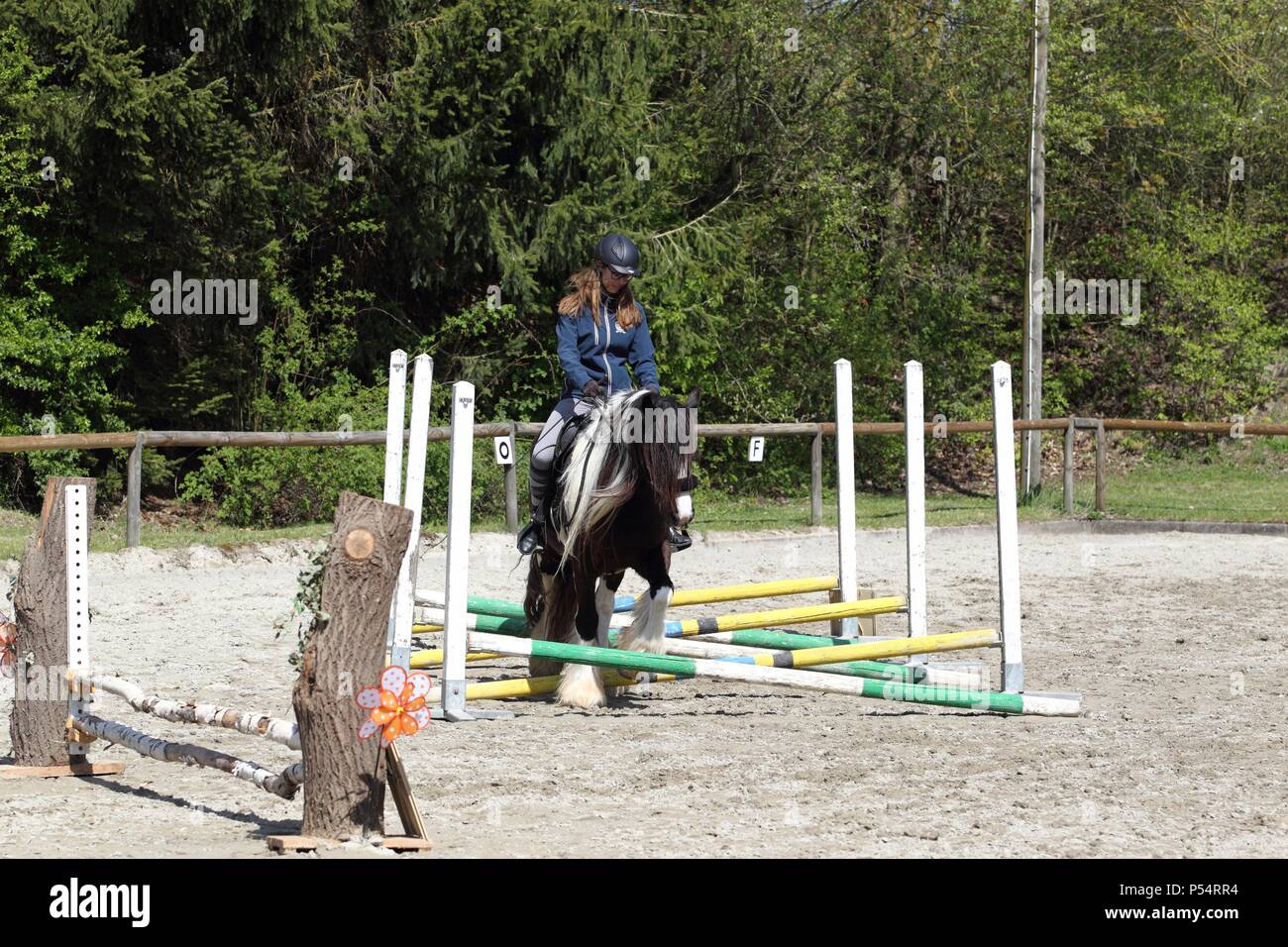 Horse-ralley Banque D'Images