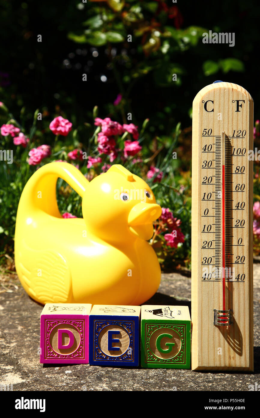 Leeds, Yorkshire, UK - 25 juin 2018. Avec une semaine entière de soleil étant prévu pour le Royaume-Uni, aujourd'hui était déjà atteint des températures élevées à l'ombre avec des températures midi frapper 30 degré centigrade dans ce jardin à Leeds. Crédit : Andrew Gardner/Alamy Live News Banque D'Images