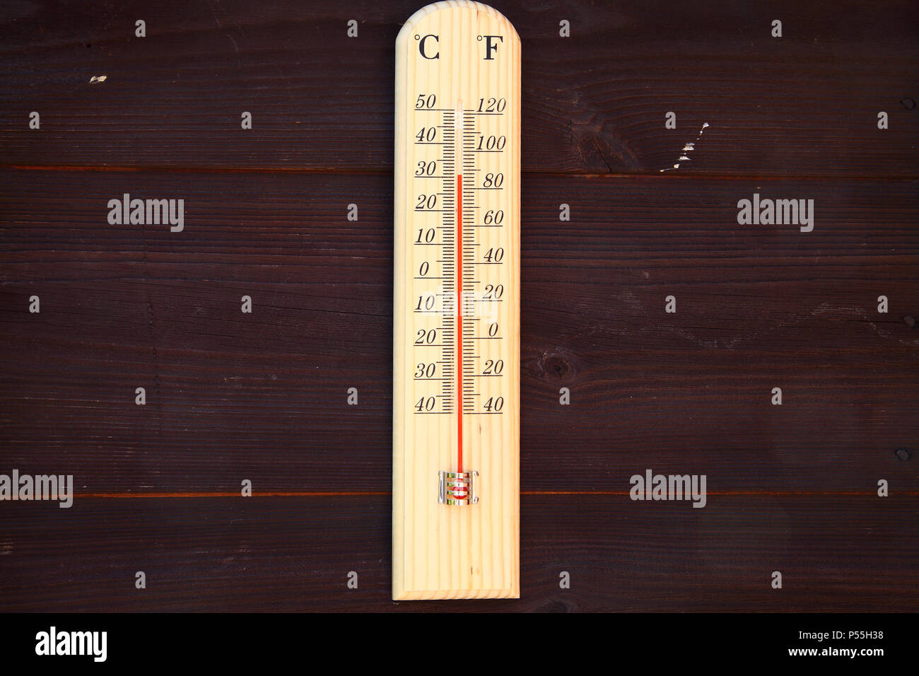 Leeds, Yorkshire, UK - 25 juin 2018. Avec une semaine entière de soleil étant prévu pour le Royaume-Uni, aujourd'hui était déjà atteint des températures élevées à l'ombre avec des températures midi frapper 30 degré centigrade dans ce jardin à Leeds. Crédit : Andrew Gardner/Alamy Live News Banque D'Images