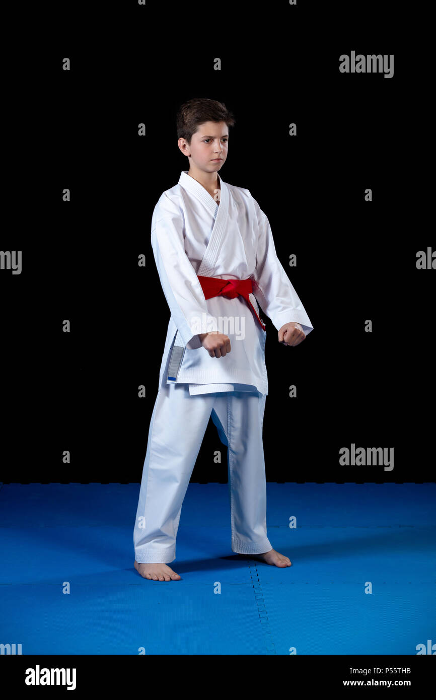 Judo Ceinture Rouge Store, 53% OFF | ilikepinga.com