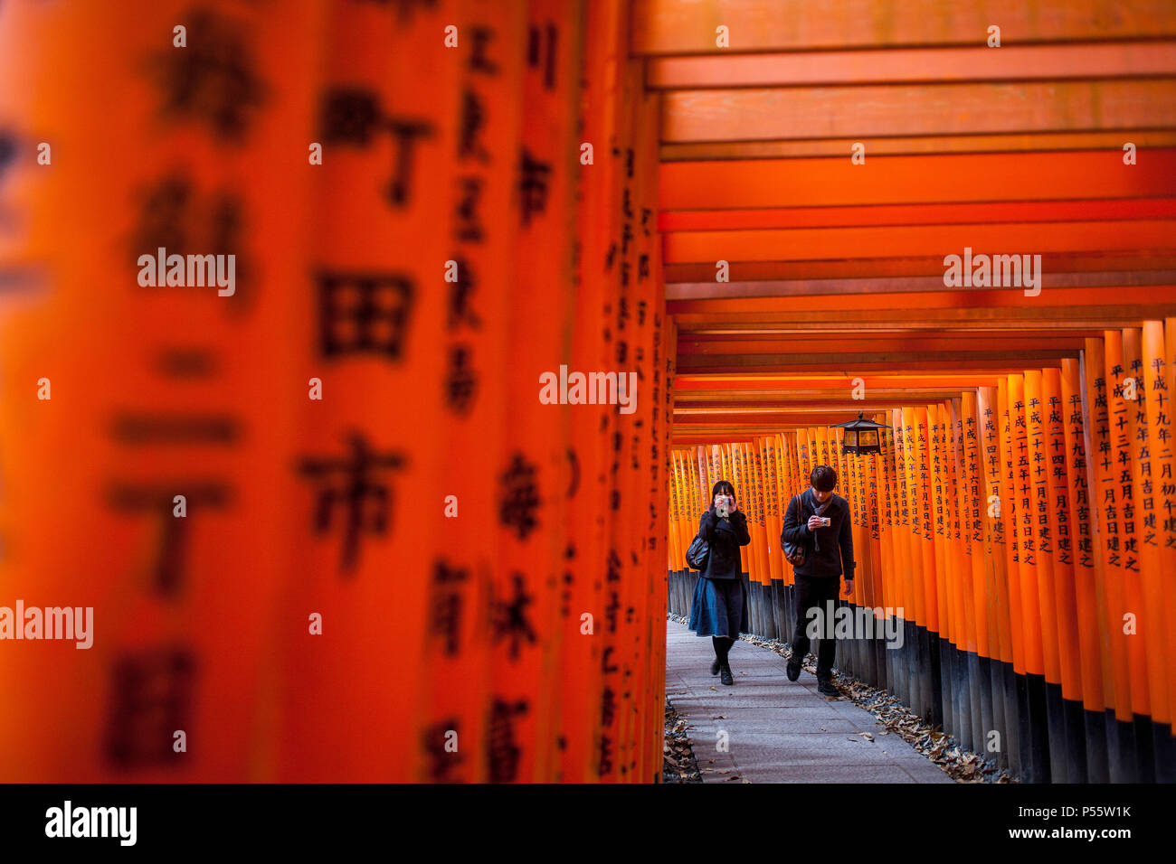 Portes Torii de Fushimi Inari-Taisha,sanctuaire à Kyoto, Japon Banque D'Images