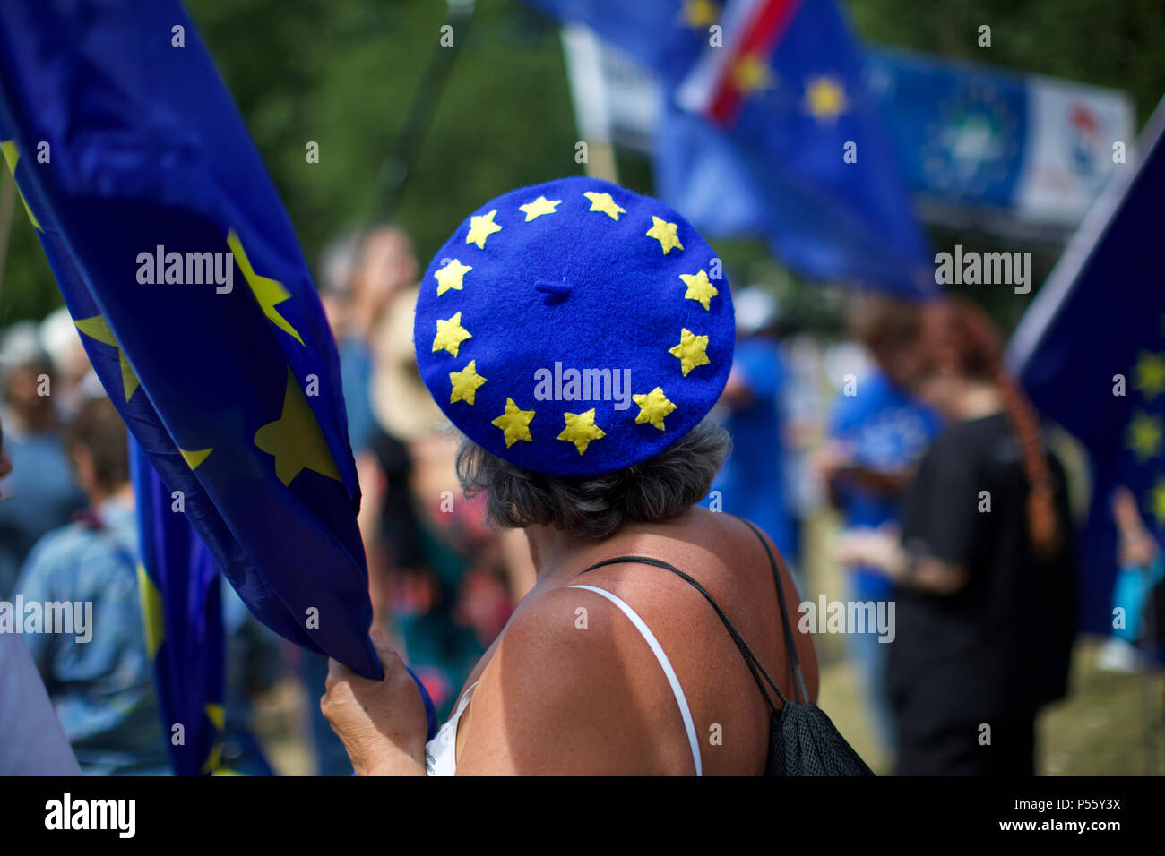 Brexit de protestation Banque D'Images