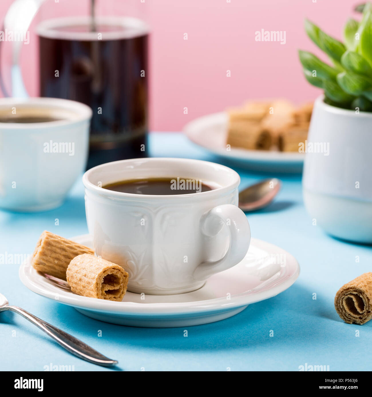 Belle composition avec deux tasses de café avec mini rouleaux de gaufrettes croustillantes et les plantes d'intérieur succulentes sur fond rose et bleu. Banque D'Images