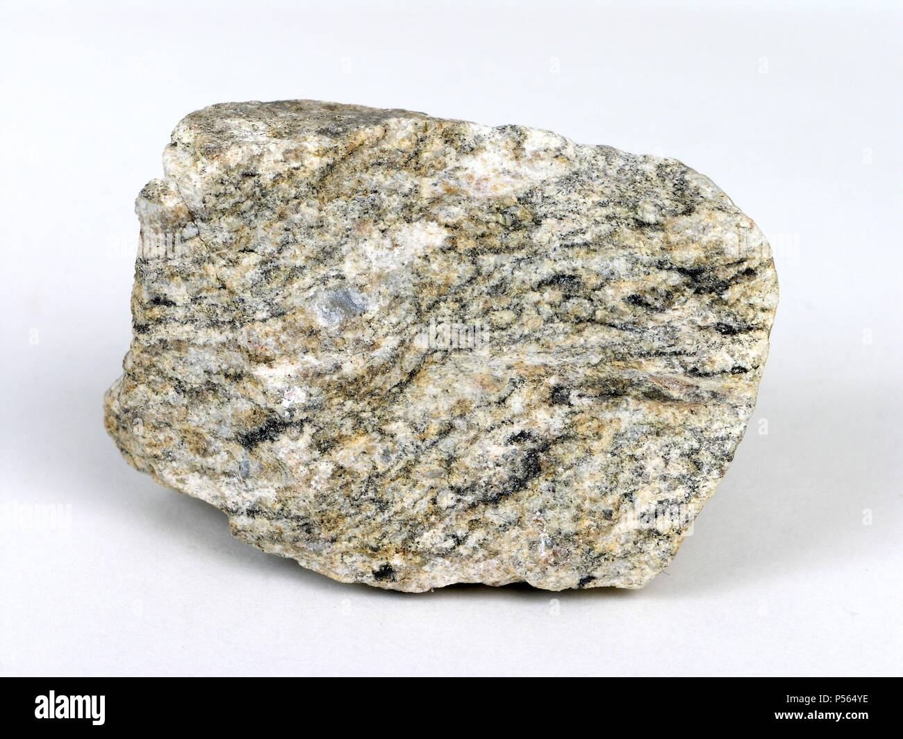 Les gneiss (NEIS). Metamórfica feldespato compuesta de Roca, cuarzo, feldespato mica y con textura. esquistosa Banque D'Images