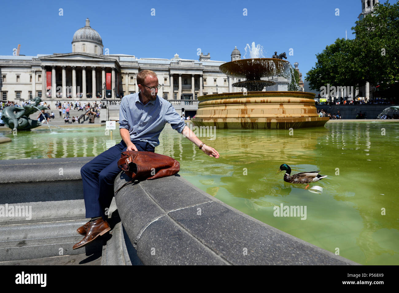 Un homme attire un canard alors qu'il est assis au soleil à Trafalgar Square, Londres, comme une vague qui pourrait produire les températures plus chaudes cette année est en travers de l'UK. Banque D'Images