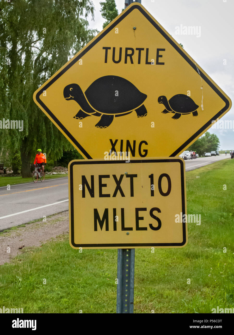 Harsens Île, Michigan - un signe met en garde contre des tortues qui traversent la route. Banque D'Images