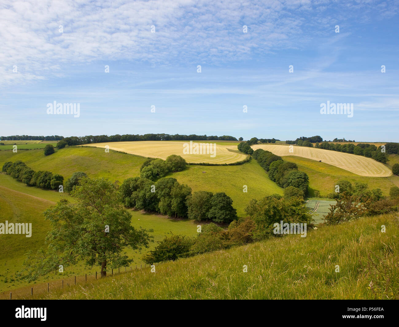 Le pâturage de prairies et des haies de colline dans le pittoresque English Channel avec des pentes herbeuses sous un ciel bleu nuageux en été Banque D'Images