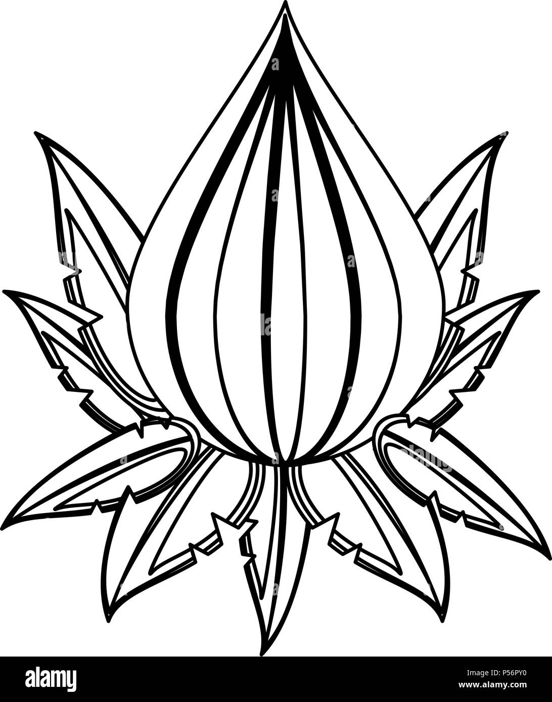 Fleur De Lotus En Noir Et Blanc Vecteurs Et Illustration