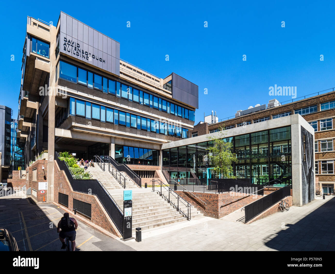 Musée de zoologie de l'Université de Cambridge - Juin 2018 réouverture après 4 ans de rénovation. Bâtiment principal est la rénovation David Attenborough bâtiment. Banque D'Images