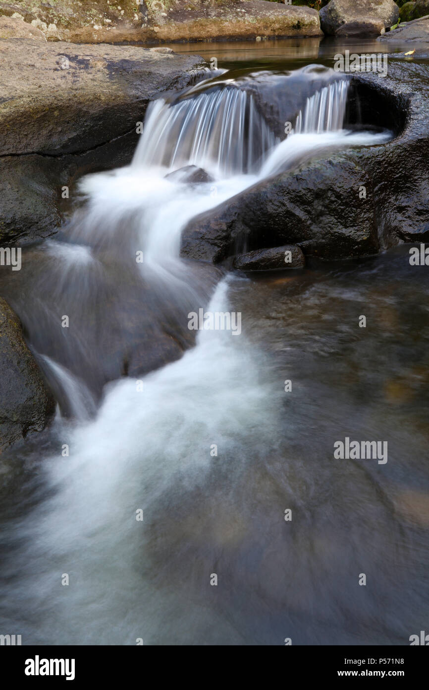 L'eau qui coule sur les rochers en stream Banque D'Images