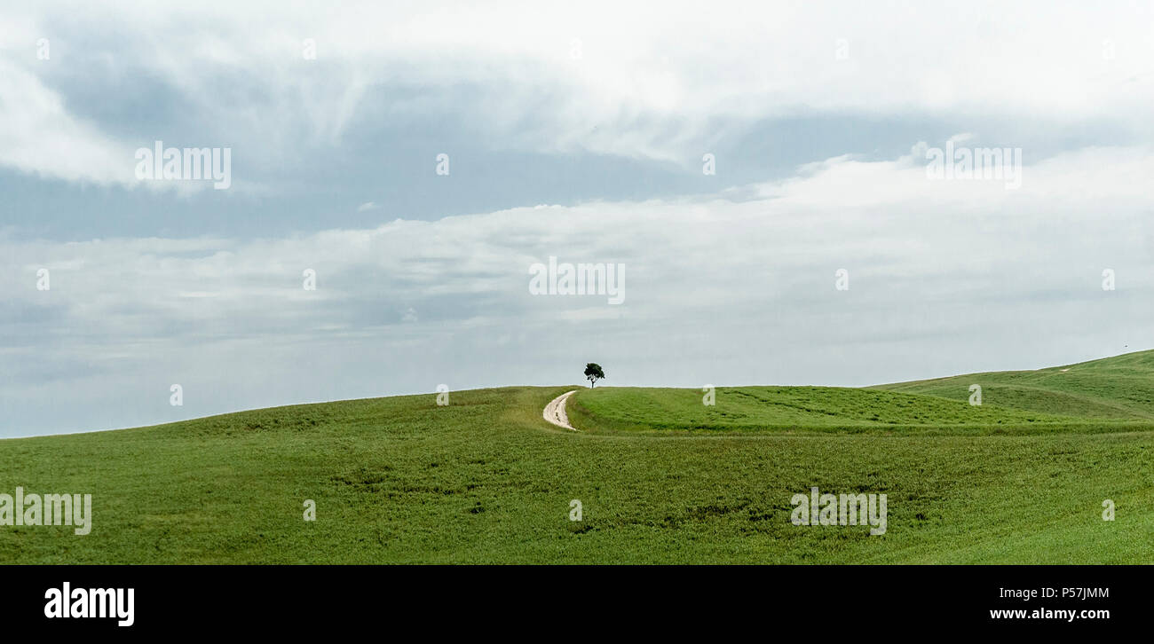 Beau paysage de Toscane,Italie,2018. Banque D'Images